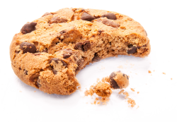 The BCF Group Cookie Policy