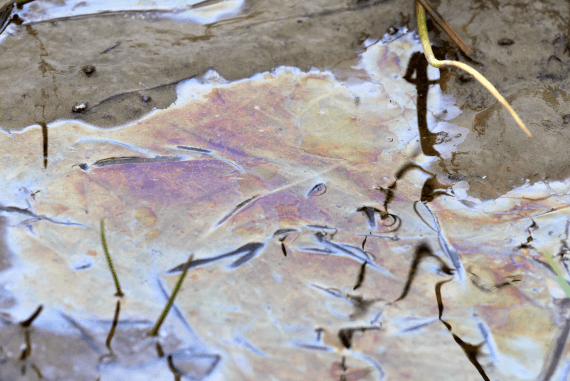 Oil leaked onto the ground
